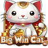 Big win cat slot